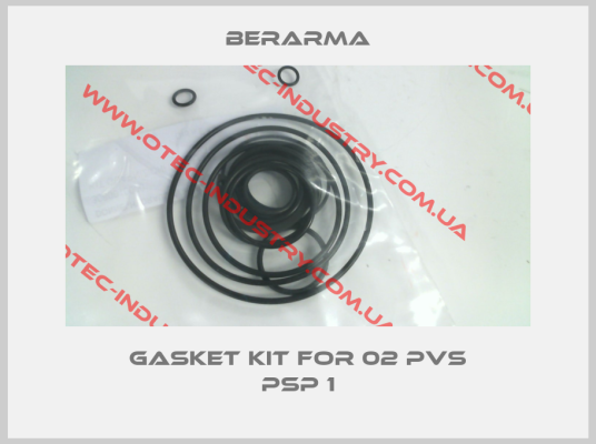Gasket kit for 02 PVS PSP 1-big
