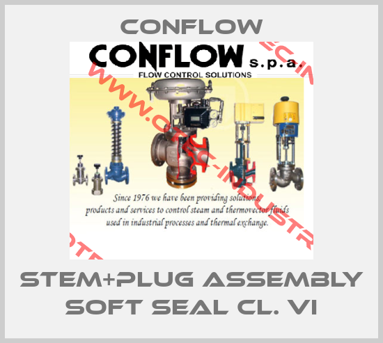 Stem+plug assembly soft seal cl. VI-big