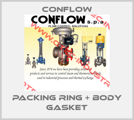 Packing ring + body gasket-big
