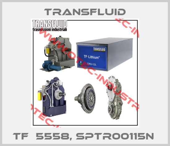 TF  5558, SPTR00115N -big