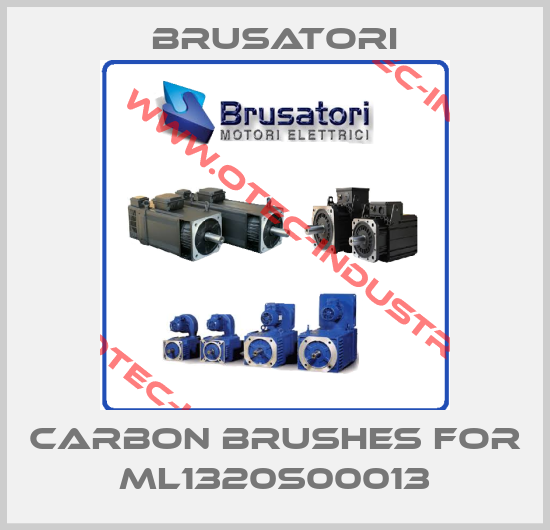 carbon brushes for ML1320S00013-big