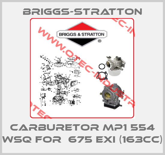 carburetor MP1 554 WSQ for  675 EXi (163cc)-big