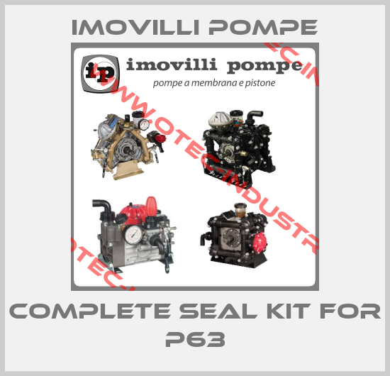 complete seal kit for P63 -big