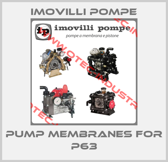 pump membranes for P63-big