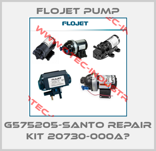 G575205-SANTO Repair kit 20730-000A　-big