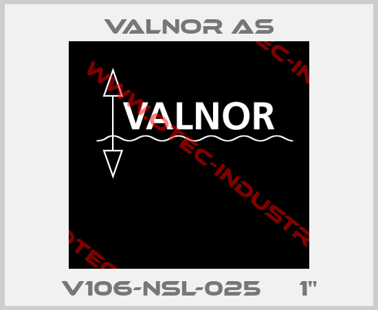 V106-NSL-025     1"-big