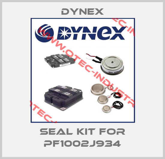 Seal kit for PF1002J934-big
