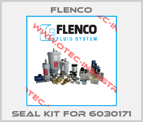 Seal kit for 6030171-big