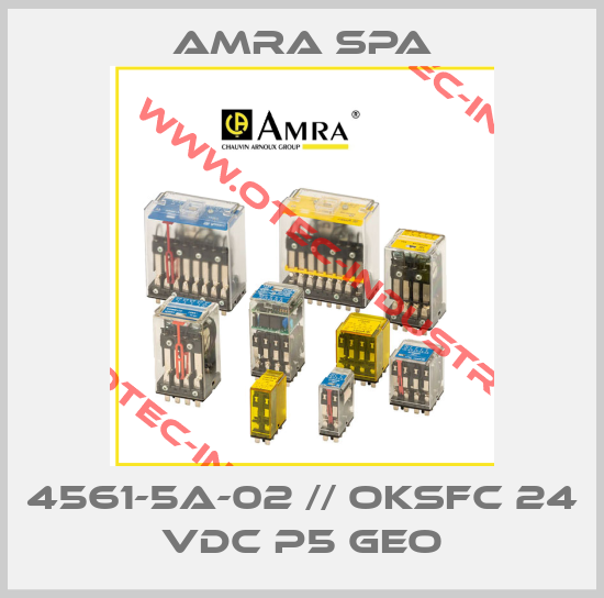 4561-5A-02 // OKSFC 24 Vdc P5 Geo-big