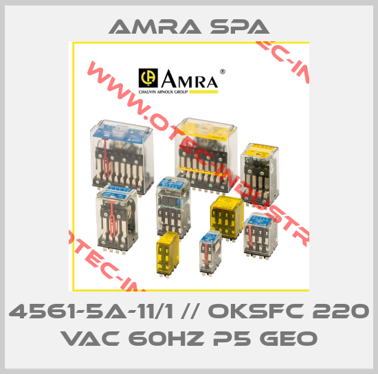 4561-5A-11/1 // OKSFC 220 Vac 60Hz P5 Geo-big