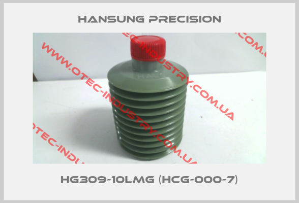 HG309-10LMG (HCG-000-7)-big