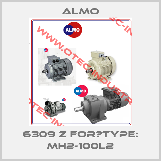 6309 Z for	Type: MH2-100L2-big
