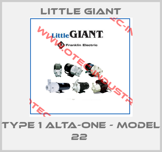 TYPE 1 ALTA-ONE - MODEL 22 -big