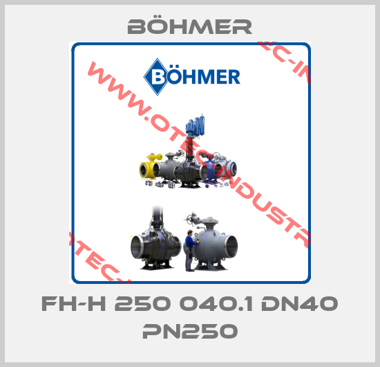 FH-H 250 040.1 DN40 PN250-big