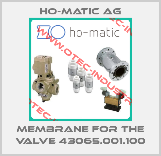 Membrane for the valve 43065.001.100-big