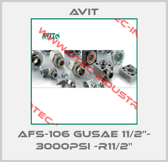 AFS-106 GUSAE 11/2"- 3000PSI -R11/2"-big