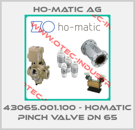 43065.001.100 - HoMatic pinch valve DN 65-big