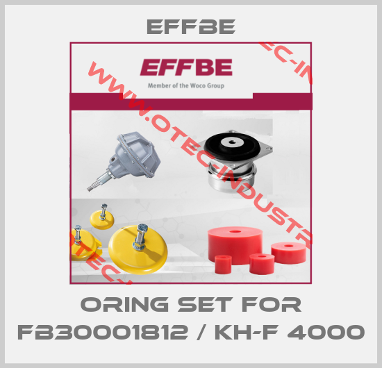 Oring set for FB30001812 / KH-F 4000-big