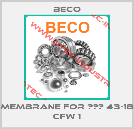 membrane for МВМ 43-18 CFW 1-big