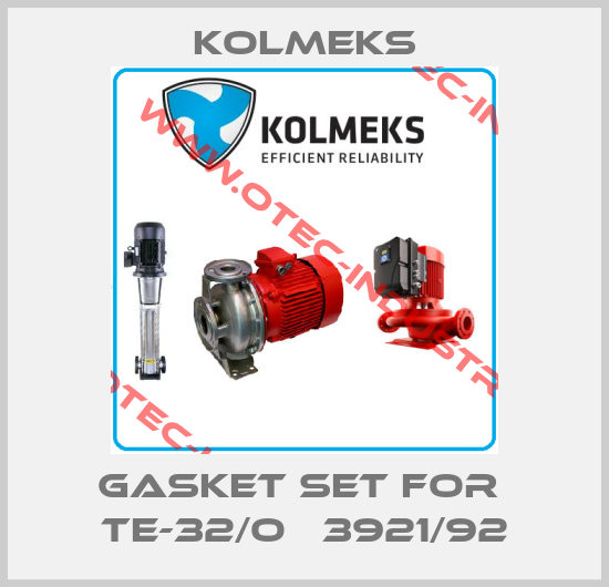 gasket set for  TE-32/O   3921/92-big
