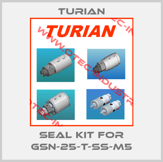 Seal kit for GSN-25-T-SS-M5-big