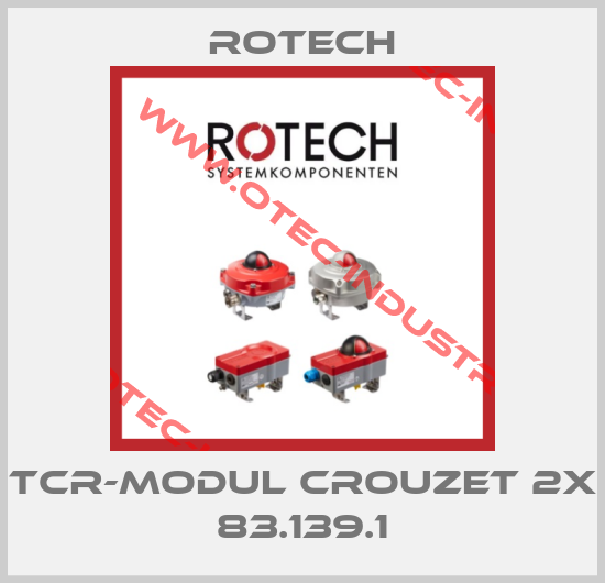 TCR-Modul Crouzet 2x 83.139.1-big