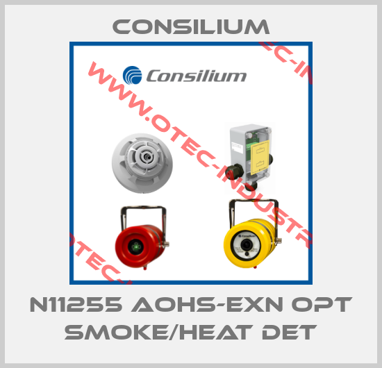 N11255 AOHS-EXN OPT SMOKE/HEAT DET-big