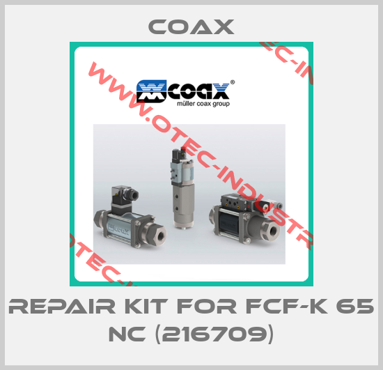 REPAIR KIT FOR FCF-K 65 NC (216709)-big