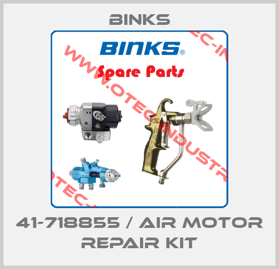41-718855 / Air Motor Repair Kit-big