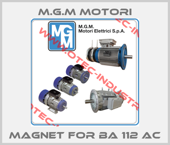 Magnet for BA 112 ac-big