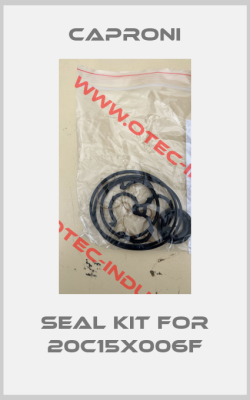 Seal kit for 20C15X006F-big