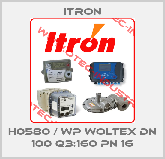 H0580 / WP Woltex DN 100 Q3:160 PN 16-big
