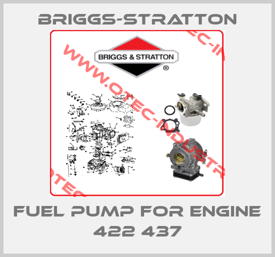 fuel pump for engine 422 437-big