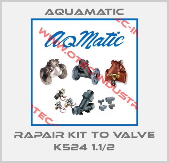 Rapair Kit to valve K524 1.1/2-big