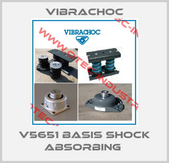 V5651 BASIS SHOCK ABSORBING -big