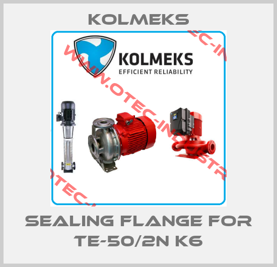 Sealing flange for TE-50/2N K6-big