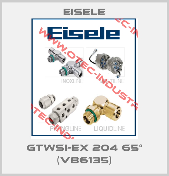 GTWSI-EX 204 65° (V86135)-big