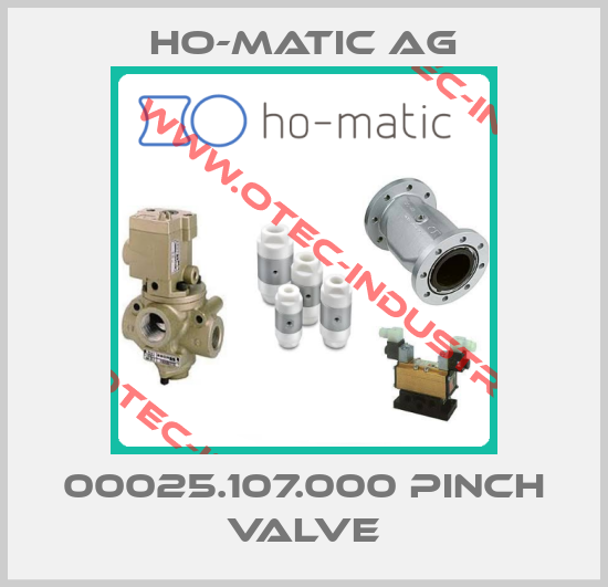 00025.107.000 pinch valve-big