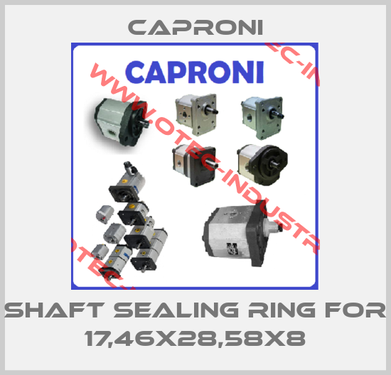 shaft sealing ring for 17,46x28,58x8-big