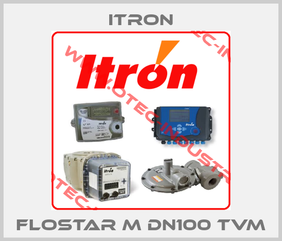 FLOSTAR M DN100 TVM-big