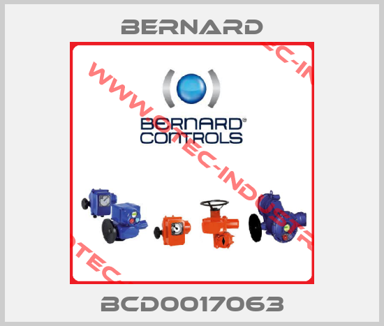 BCD0017063-big