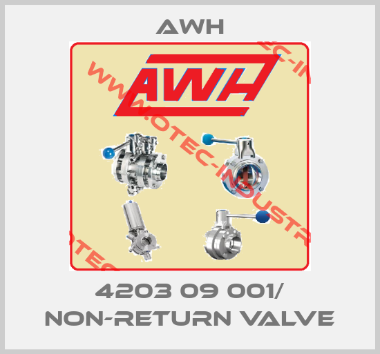 4203 09 001/ Non-return valve-big