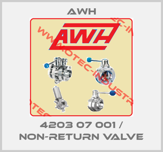 4203 07 001 / Non-return valve-big