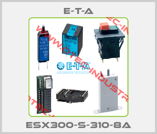ESX300-S-310-8A-big
