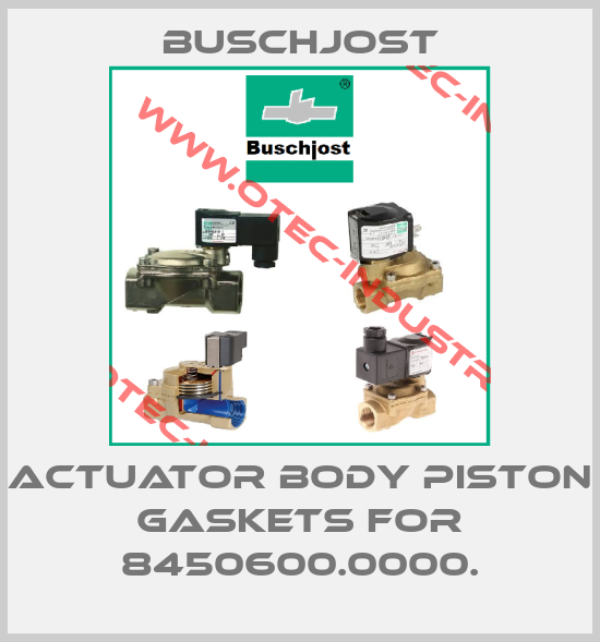 actuator body piston gaskets for 8450600.0000.-big