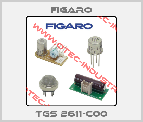 TGS 2611-C00-big