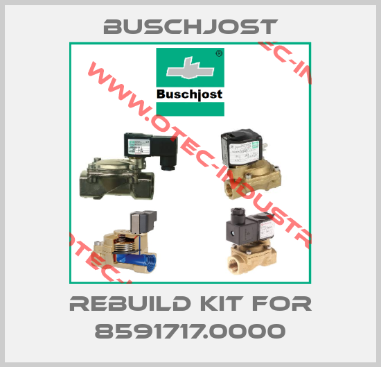Rebuild kit for 8591717.0000-big