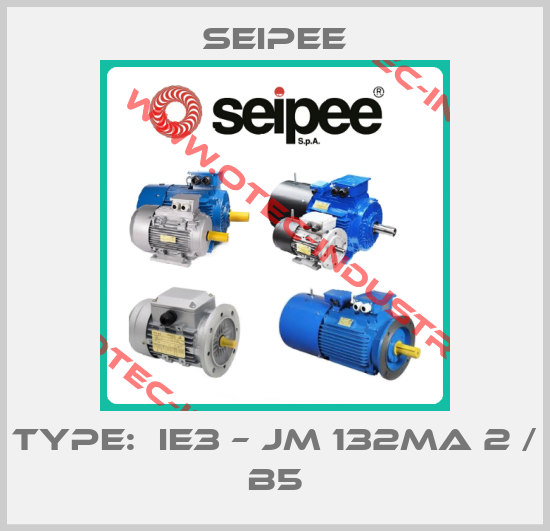 Type:  IE3 – JM 132MA 2 / B5-big