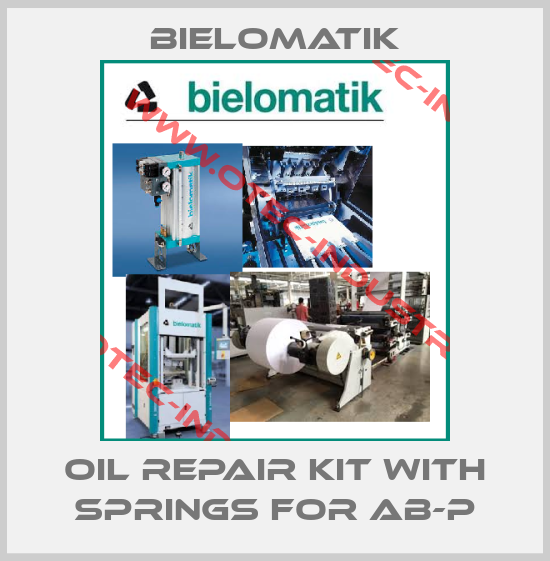 oil repair kit with springs for AB-P-big