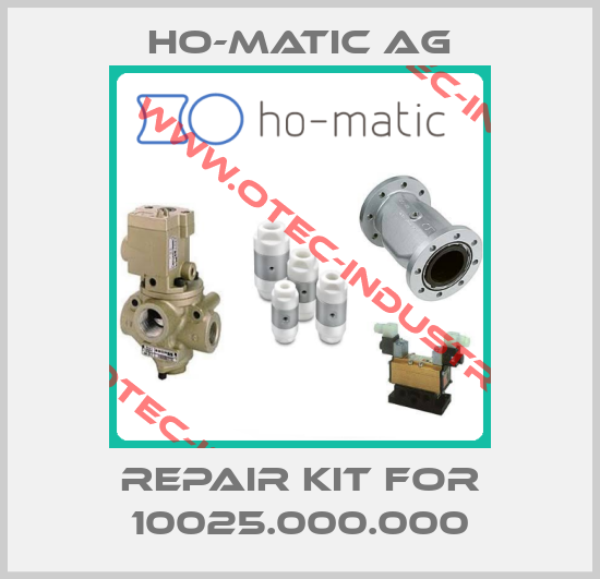 Repair kit for 10025.000.000-big
